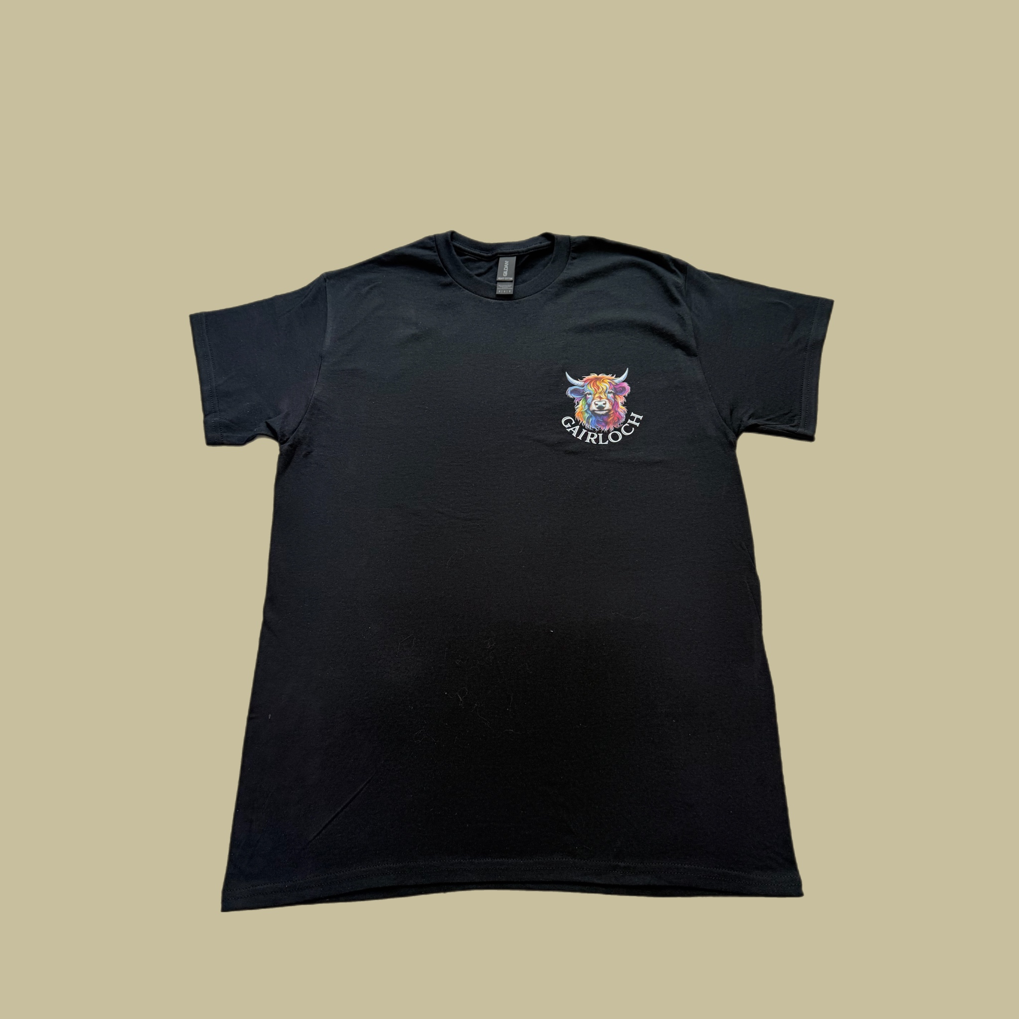 Gairloch Highland Cow in Colour T-Shirt