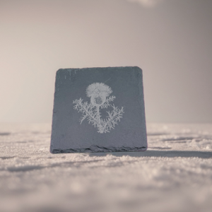 Thistle Slate Coaster