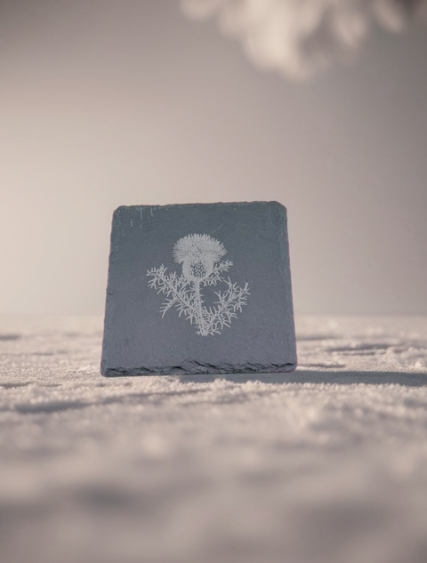 Thistle Slate Coaster