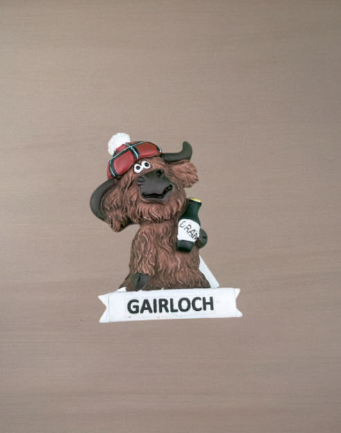 Highland Cows With Gairloch