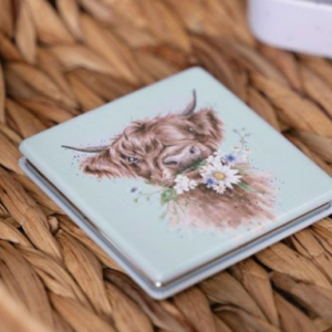 Compact Pocket Mirror