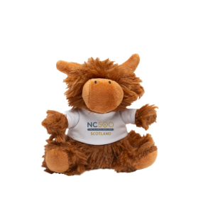 NC500 Destination Highland Coo Keyring