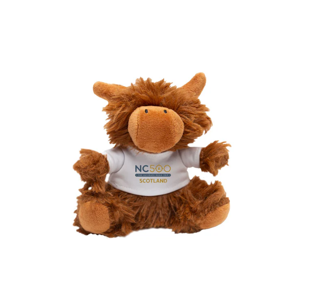 NC500 Destination Highland Coo Keyring