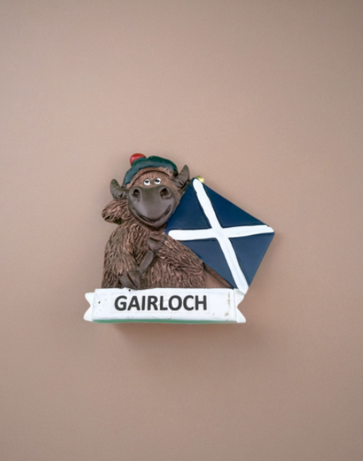 Highland Cows With Gairloch - Image 8