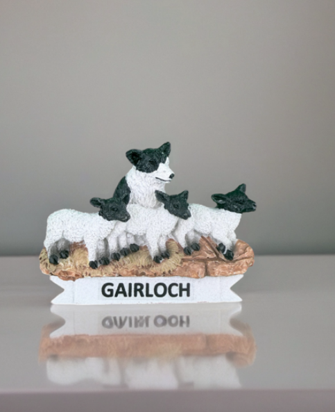 Gairloch Sheep Magnets - Image 3