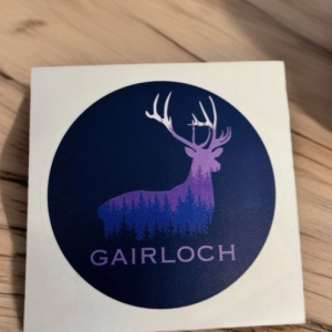 Gairloch Stag